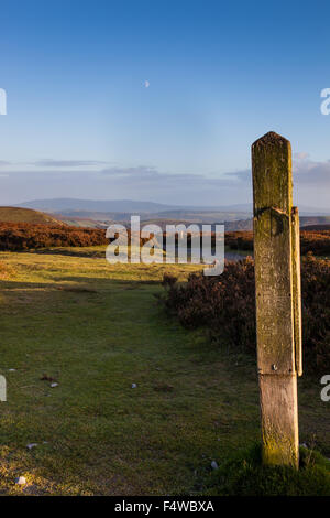 Der Jack Mytton Weg auf die Long Mynd in Richtung Carding Mill Valley, Kirche Stretton, Shropshire Stockfoto