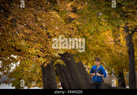 Prag, Tschechische Republik. 23. Oktober 2015. Herbst Farben im Park auf der Insel schützen (Strelecky) in Prag, Tschechische Republik, 23. Oktober 2015. © Katerina Sulova/CTK Foto/Alamy Live-Nachrichten Stockfoto