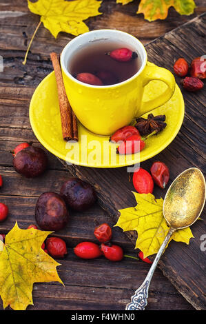 Gelbe Tasse mit Tee, gebraut in der Tee mit Beeren Früchte der Heckenrose auf Grund von Blättern und Kastanien Stockfoto
