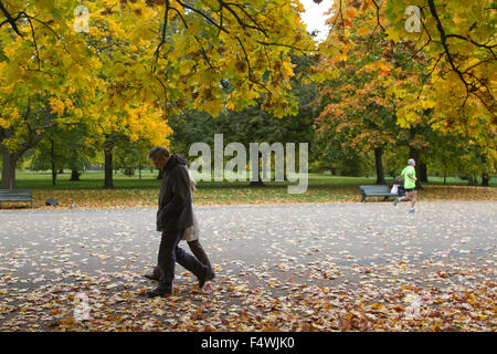 London, UK. 23. Oktober 2015. Herbstfarben im Hyde Park Credit: Amer Ghazzal/Alamy Live-Nachrichten Stockfoto