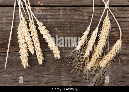 Ähren auf alten Holztisch Stockfoto