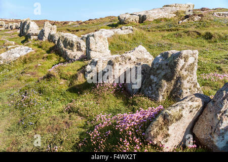 Felseinzäunung in einer Küstenlandschaft am Lands End, Cornwall, England, Großbritannien Stockfoto