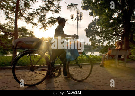 Hoan Kiem See Hanoi, Vietnam, überhängenden Flamme von Waldbäumen, Bänke. Hanoi. Vietnam. Sonnenuntergang und Mann mit einem Fahrrad. Menschen sitzen auf See Bänke, Hoan-Kiem-See, Hanoi, Vietnam. Stockfoto