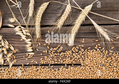 Ähren auf alten Holztisch Stockfoto