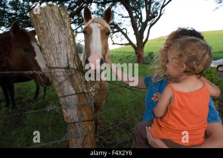 Eine Mutter und Tochter ein Pferd zu streicheln. Pferde in der Nähe einer der vielen Ranches in Waimea. Big Island. Hawaii. USA. Reisen-eas Stockfoto