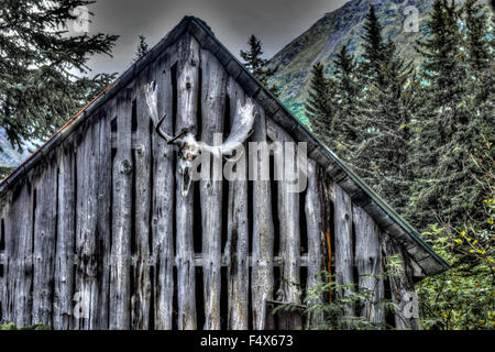 Elch Geweih hängen an einer Hütte Anchorage, Alaska Stockfoto