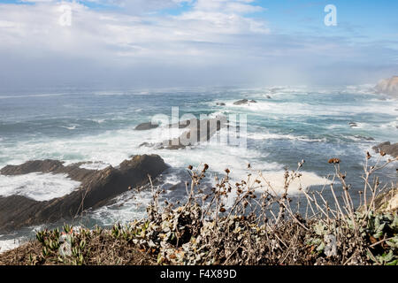 Bluffs entlang der California Küste unter Wasser mit wilden Blumen im Vordergrund. Stockfoto