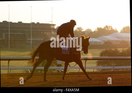 Lexington, KY, USA. 23. Oktober 2015. 23. Oktober 2015: Ungedraftete von Wesley Walker geschult und im Besitz von Welker, Wes und Kumin, Sol Candice Chavez/ESW/CSM/Alamy Live News Stockfoto