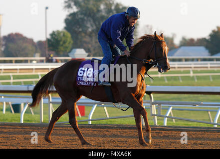 Lexington, KY, USA. 23. Oktober 2015. 23. Oktober 2015: Ungedraftete von Wesley Walker geschult und im Besitz von Welker, Wes und Kumin, Sol Candice Chavez/ESW/CSM/Alamy Live News Stockfoto