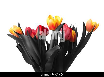 Tulpe Blumen, isoliert auf weißem Hintergrund. Stock Vektor