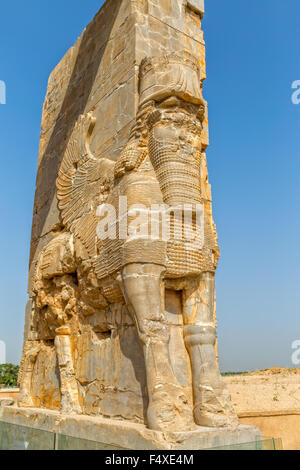 Persepolis Lamassu Statuen Stockfoto