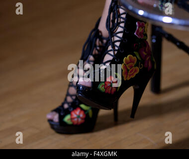 Hollywood, Kalifornien, Vereinigte Staaten von Amerika. 23. Oktober 2015. Mexikanische Sängerin Lila Downs besitzen für ein Bild in einem Interview auf dem Hollywood Forever Friedhof in Hollywood, Kalifornien am Freitag 23. Oktober 2015.ARMANDO ARORIZO Credit: Armando Arorizo/Prensa Internacional/ZUMA Draht/Alamy Live News Stockfoto