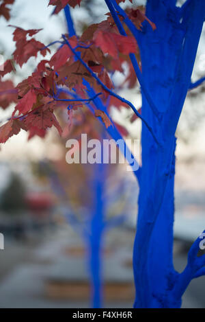 New Westminster, Kanada. 23. Oktober 2015. "Die Blaue Bäume" ist auf Freitag, 23. Oktober 2015 in New Westminster, Kanada zu sehen.  Dieser ökologische Installation des Künstlers Konstantin Dimopoulos, in Partnerschaft mit Vancouver Biennale brachte neue Wesminster zu helfen, Bewusstsein für weltweite Abholzung und den Klimawandel. Bildnachweis: Lukasz Lawreszuk/Alamy Live-Nachrichten Stockfoto