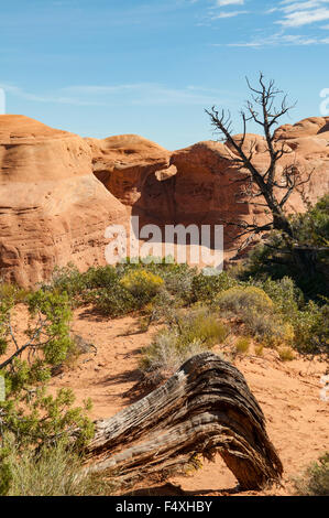 Blick auf den Delicate Arch, Arches NP, Utah, USA Stockfoto