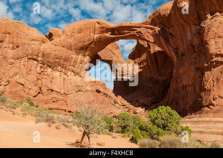 Doppelbogen, Arches NP, Utah, USA Stockfoto