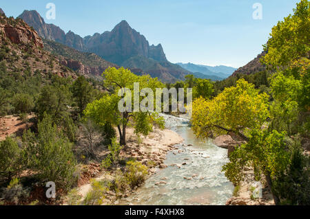 Virgin River Canyon Junction, Zion NP, Utah, USA Stockfoto