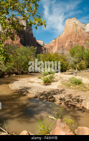 Virgin River und Gericht des Patriarchen, Zion NP, Utah, USA Stockfoto