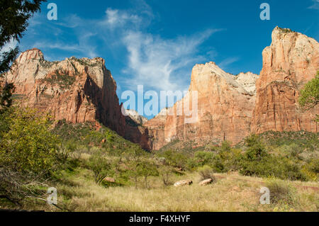 Gericht des Patriarchen, Zion NP, Utah, USA Stockfoto