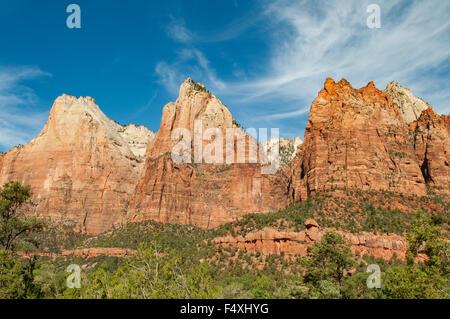 Gericht des Patriarchen, Zion NP, Utah, USA Stockfoto