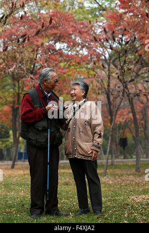 (151024) - TAIYUAN, 24. Oktober 2015 (Xinhua)--Li Chang zeigt Fotos für seine Frau Zhang Guiqin in einem Park in Taiyuan, Hauptstadt der Provinz Nord-China Shanxi, 21. Oktober 2015. Pensionierter chinesischen Ingenieur Li Chang, ein umfangreiches Sammler in antike mechanische Produkte, plant nun, Fonds im Internet, ein Versprechen zu realisieren, machte er zu seiner Frau zu erhöhen. Li Chang heiratete seine Frau Zhang Guiqin, 1958, und er machte das Versprechen an ihre Goldene Hochzeit. Li Chang besitzt einen WWII deutsche Brunsvigr mechanischen Rechner, der in gutem Zustand. Kürzlich veröffentlicht Li Chang eine Anzeige zu Stockfoto