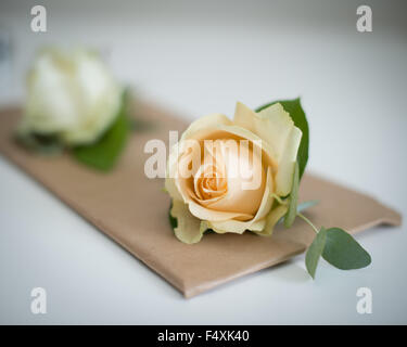 Hochzeit Knopfloch Blume Creme rose mit grünen Blättern Stockfoto