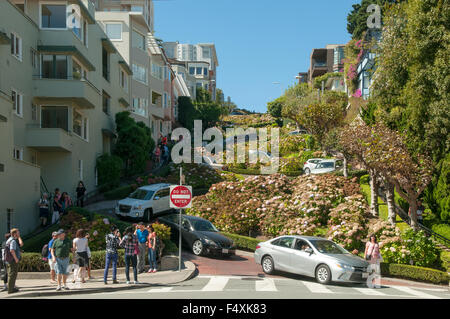 Lombard St Zickzack, San Francisco, Kalifornien, USA Stockfoto