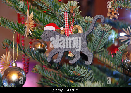 Katze in Nikolausmütze fühlte Weihnachtsdekoration auf Weihnachten Weihnachtsbaum Nordmann Tanne in London, England Stockfoto