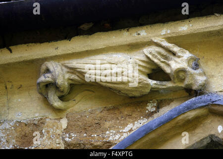Carven auf der Corbel Tabelle um den Altarraum der Kirche Hanwell, Oxfordshire. Oxford School of Stone Maurer. Ein geflügelter Drache Stockfoto