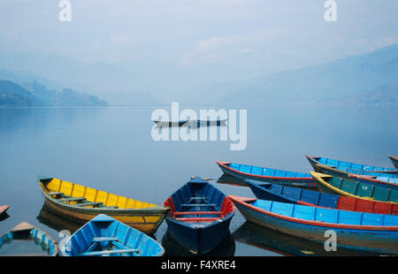 Boote am Phewa-See (Nepal) Stockfoto