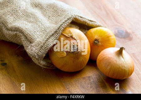 frische Zwiebeln in Jute Sack auf Holztisch Stockfoto