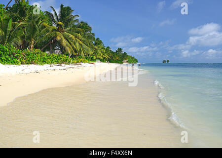 Anse La Reunion, traumhafter Strand, Palmen, Bäume, Insel La Digue, Seychellen Stockfoto