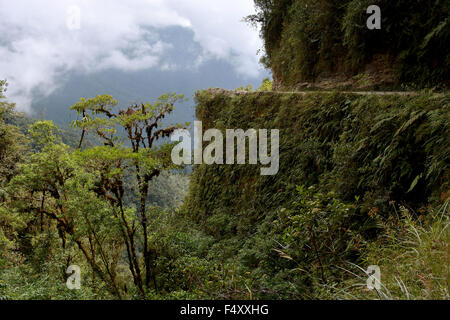 Steilhang auf Tod Road, reichen subtropischen Vegetation, Camino de La muerte, yungas, Straße zwischen La Paz und coroico, Bolivien Stockfoto