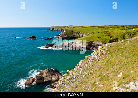 Mit Blick auf St Govans Head von Broadhaven Süden auf dem Pembrokeshire Coast Fußweg, Wales, UK Stockfoto