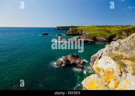 Mit Blick auf St Govans Head von Broadhaven Süden auf dem Pembrokeshire Coast Fußweg, Wales, UK Stockfoto