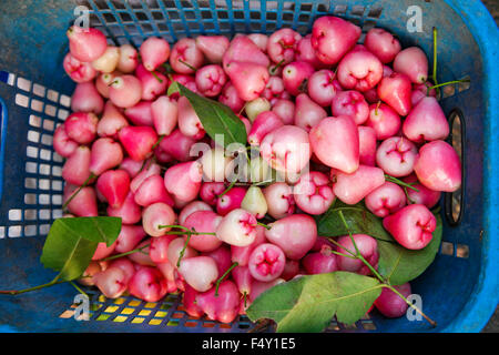 Rose-Äpfel oder die Glocke Früchte auf Sonntagsmarkt verkaufen. Fokus darauf hingewiesen in der Mitte und flachen DOF. Stockfoto