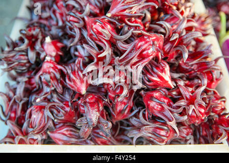 Roselle Früchte auf Sonntagsmarkt verkaufen. Fokus darauf hingewiesen in der Mitte und flachen DOF. Stockfoto