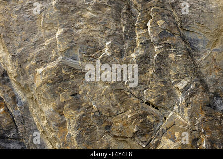 Eine Felswand in den Rocky Mountains von Kanada in der Nähe von Golden British Columbia. Stockfoto