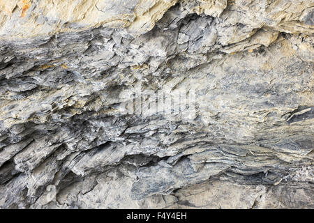 Eine Felswand in den Rocky Mountains von Kanada in der Nähe von Golden British Columbia. Stockfoto