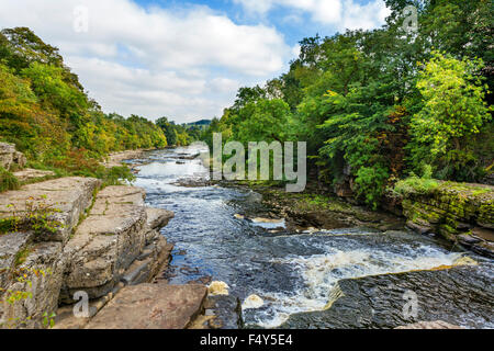 Aysgarth Lower Falls, Yorkshire Dales, North Yorkshire, England, UK Stockfoto