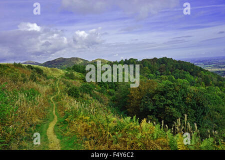 Wanderweg am Malvern Hills Frühling, Worcestershire, UK Stockfoto