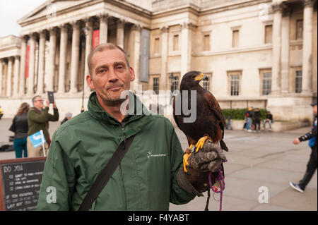 halten den Tauben unter Kontrolle am Trafalgar Square ein Falkner mit tethered Raubvogel Patrouillen der Bahnhofshalle vor Massen Stockfoto