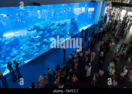 DUBAI, Vereinigte Arabische Emirate - 14. NOVEMBER: Aquarium in der Dubai Mall - weltweit größte Shopping-Mall, Downtown Burj Dubai 14. November 2012 in Duba Stockfoto