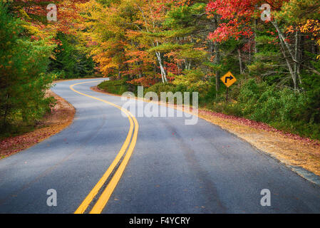 Kurvenreiche Straße Kurven durch farbenfrohe Herbst Bäume in Neu-England Stockfoto