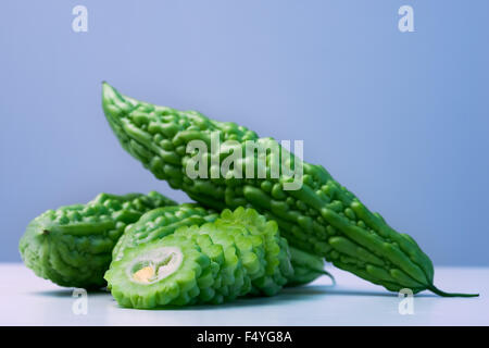 Karela bittere Melone Caraili Studio schließen auf blauem Hintergrund Stockfoto