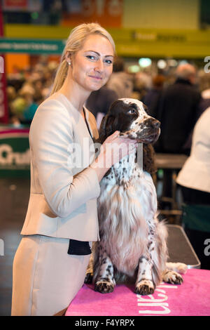 Crufts show Hund im NEC, Birmingham UK - Vibe Madsen aus Dänemark mit ihrem englischen Springer Spaniel Stockfoto