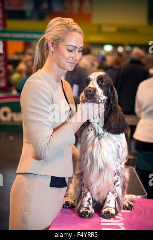 Crufts show Hund im NEC, Birmingham UK - Vibe Madsen aus Dänemark mit ihrem englischen Springer Spaniel Stockfoto