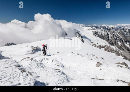 Bergsteiger klettern Löffler, hier am Gipfelgrat unter Floitenkees, Schwarzenstein hinter, Zillertaler Alpen, Ahrntal Stockfoto