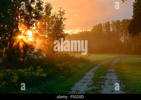 Morgennebel und Sonnenlicht im Saaletal, Naumburg, Burgenlandkreis, Sachsen-Anhalt, Deutschland Stockfoto