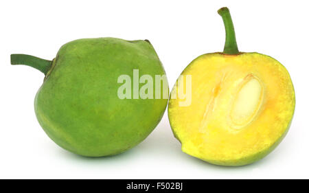 Garcinia Tinctoria oder essbare Daophal von Bangladesch über weißem Hintergrund Stockfoto