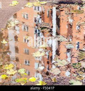 Stadthaus in Pfütze mit schwimmenden Blattsänfte Herbsttag spiegelt sich in Stockfoto